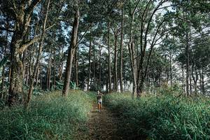 BIB: 
                            <button type="button" onclick="openModal(25656981)" class="btn btn-primary btn-sm float-right btn-popup" data-toggle="modal" data-target=".modal-high-quality">
                        <i class="fas fa-shopping-cart"></i> Add to Cart
                    </button>
                                            <button type="button" onclick="isThisMe(25656981, true)" class="btn btn-success btn-sm float-right btn-popup btn-isme hidden" data-toggle="tooltip" data-placement="bottom" title="นี่คือรูปของคุณใช่ไหม คลิกที่นี่เพื่อเอาเข้าอัลบั้ม">
                        <i class="fas fa-plus"></i> Add to album
                    </button>
                    <button type="button" onclick="isThisMe(25656981, false)" class="btn btn-warning btn-sm float-right btn-popup btn-isnotme hidden">
                        <i class="fas fa-ban"></i> Remove from album
                    </button>